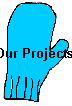 Our Projects